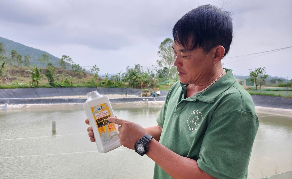 Việc ứng phó dịch bệnh không dễ, dù cho người nuôi đã chủ động phòng ngừa từ trước. Ảnh: Việt Khánh.