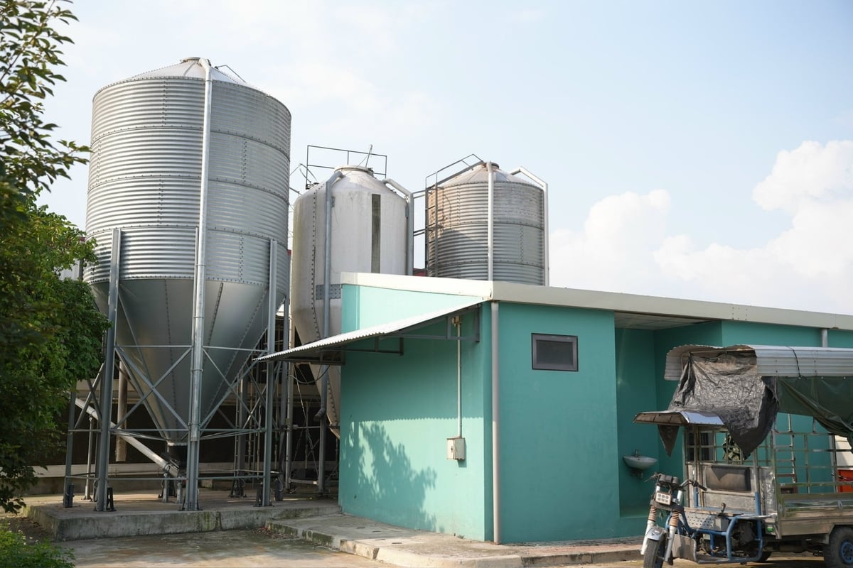 Hệ thống chứa thức ăn tự động của Delco Farm. Ảnh: Phạm Minh.