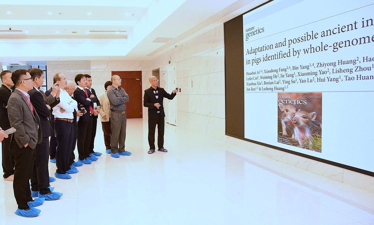 Đoàn công tác của Hội Chăn nuôi Việt Nam làm việc với ông Huỳnh Lộ Sinh (ngoài cùng bên phải) - Viện sỹ Viện Hàn lâm khoa học Trung Quốc, Chủ tịch Hội Chăn nuôi Thú y Trung Quốc. Ảnh: Trần Ngân.