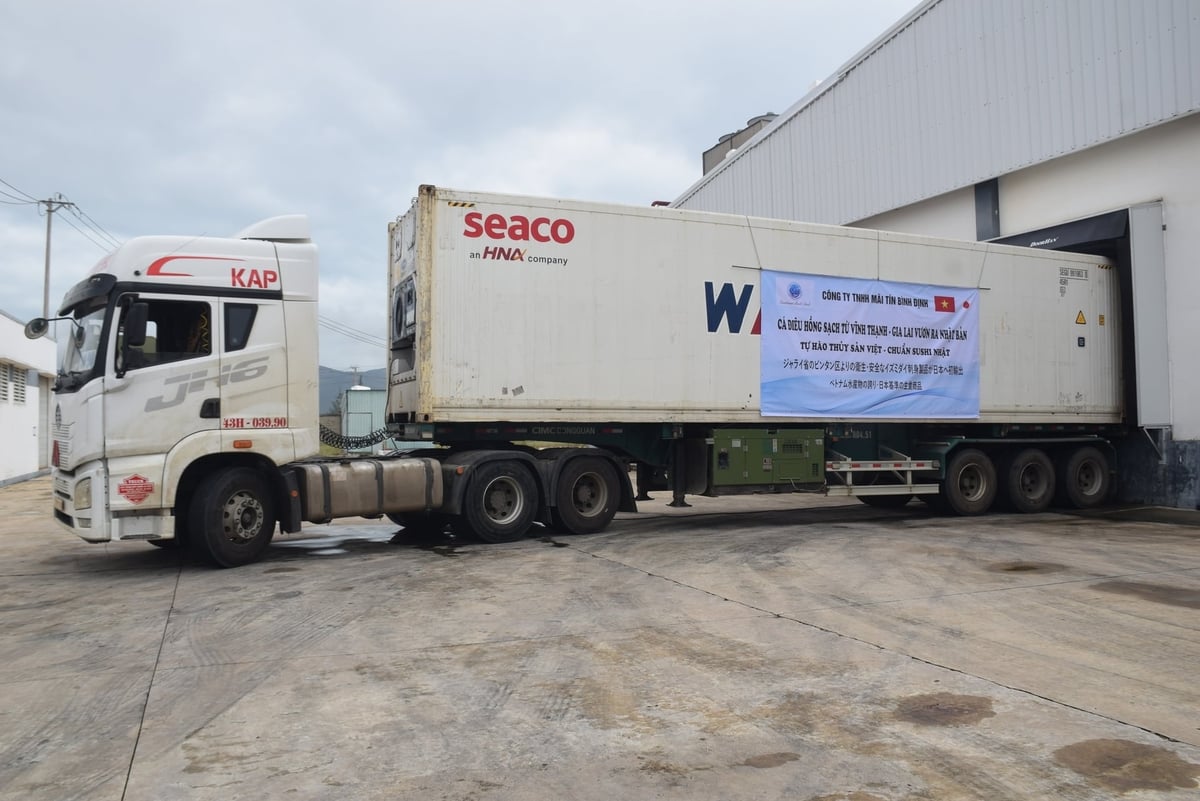 Container hàng cá điêu hồng sushi đầu tiên của Công ty TNHH Mãi Tín Bình Định xuất khẩu sang Nhật Bản. Ảnh: V.Đ.T.