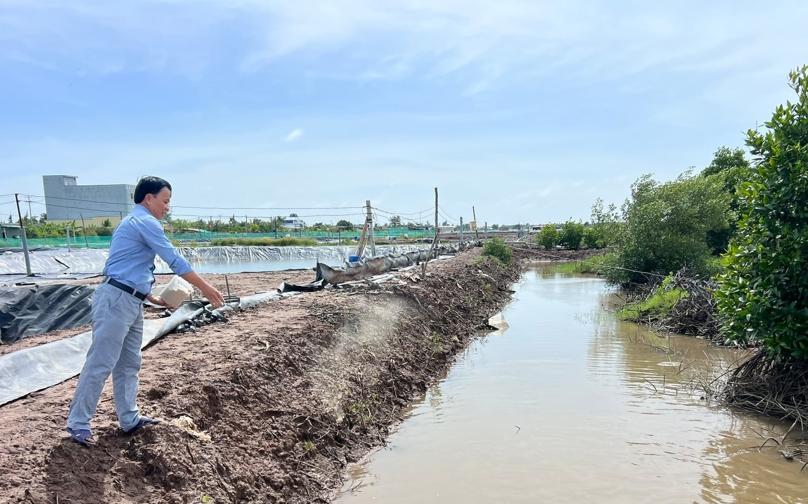 Mô hình tôm - cua - cá kết hợp tại xã Vĩnh Hậu, tỉnh Cà Mau. Ảnh: Trọng Linh.