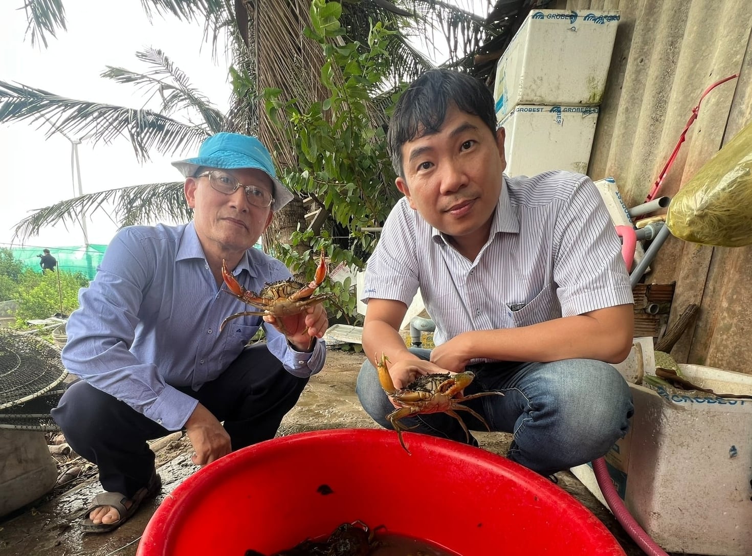 Mô hình nuôi trồng thủy sản tuần hoàn và nuôi ghép đa loài kết hợp khôi phục rừng ngập mặn do IUCN triển khai tại tỉnh Cà Mau. Ảnh: Trọng Linh.