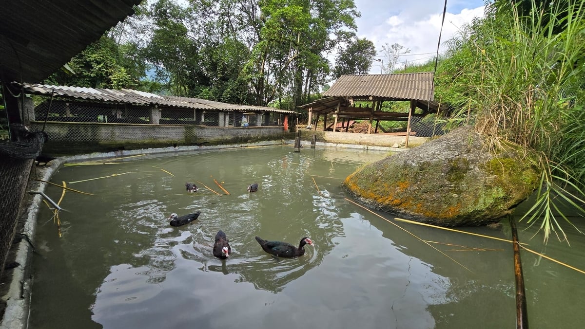 Khung cảnh thanh bình ở trang trại nhà chị Khé. Ảnh: K.Trung.