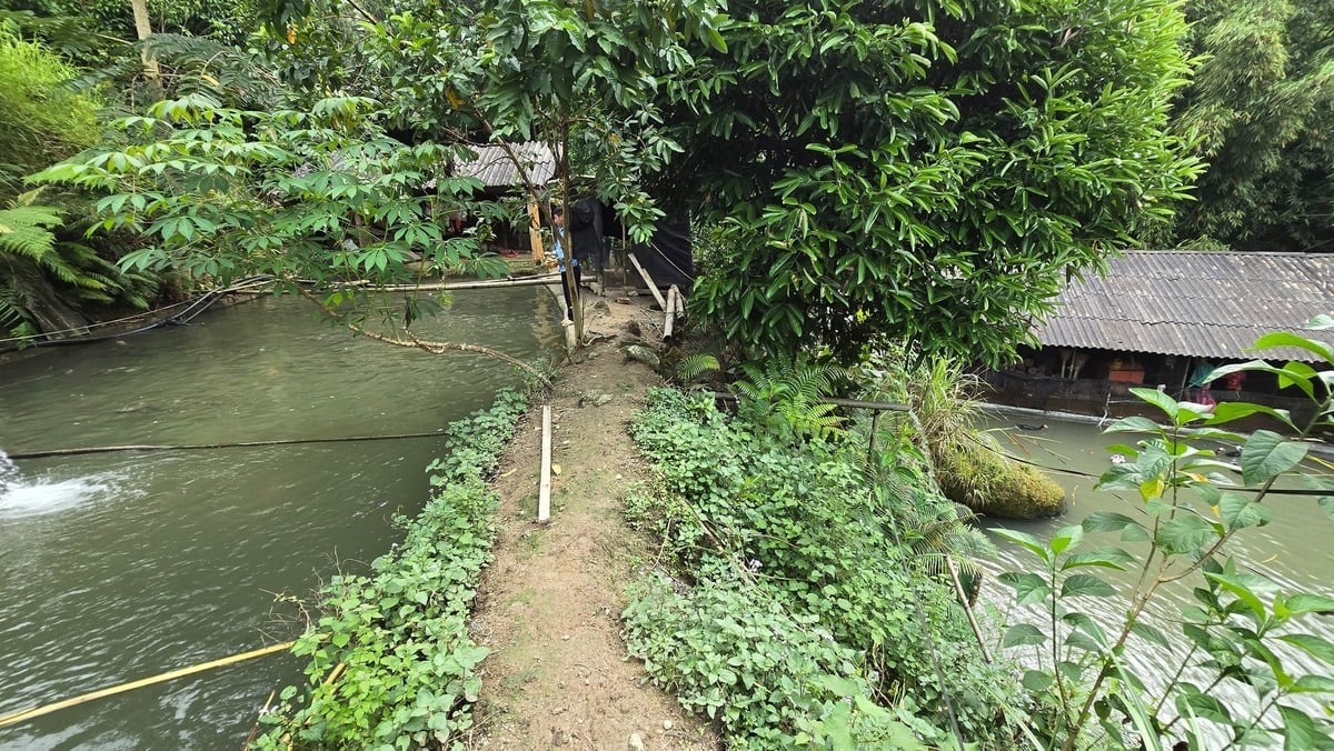 Mô hình ao 2 tầng nuôi cá nước ngọt trên núi của chị Phượng Mùi Khé. Ảnh: K.Trung.