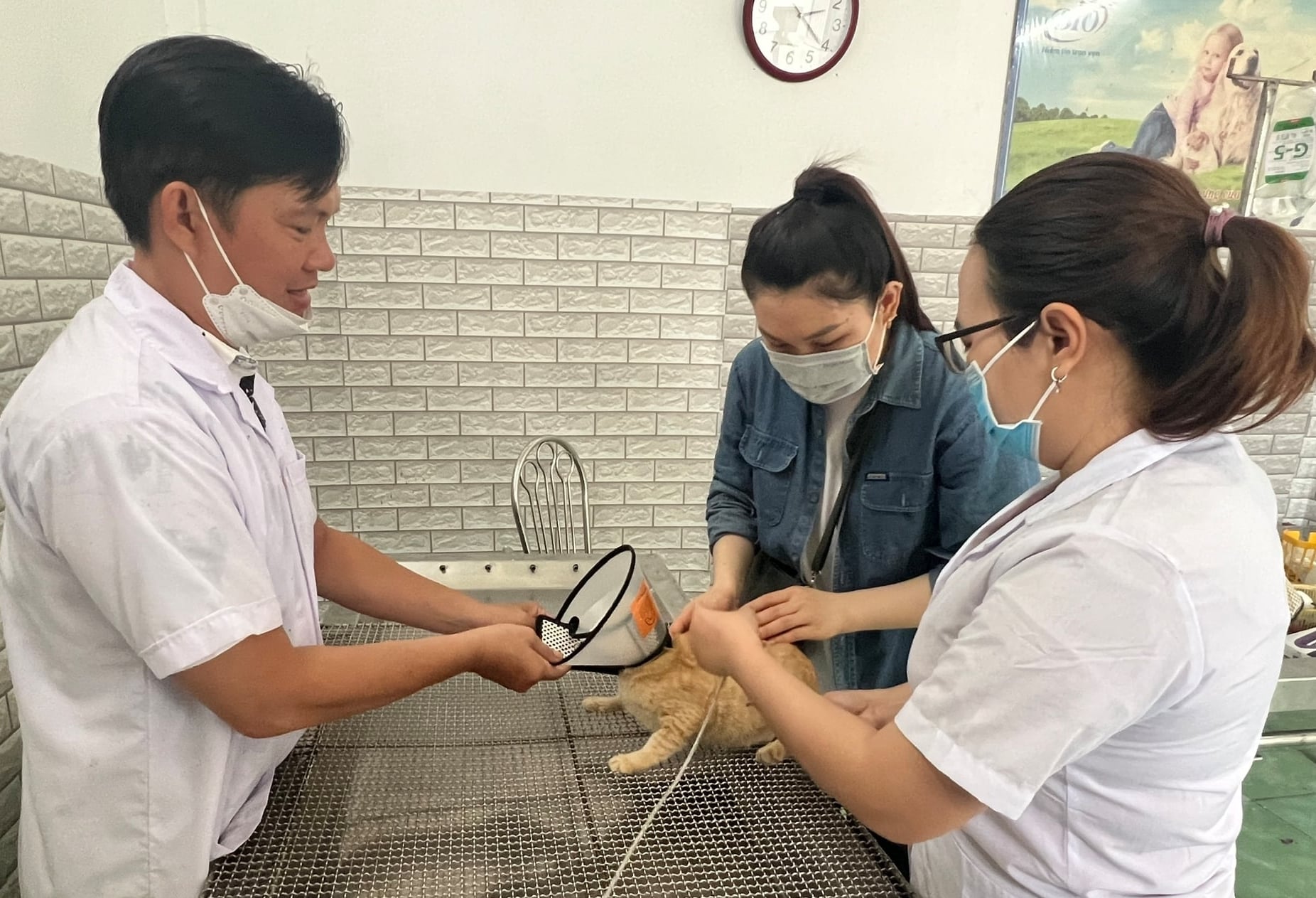 Năm 2025, toàn tỉnh Cà Mau có 26 cơ sở được cấp giấy chứng nhận đủ điều kiện an toàn dịch bệnh. Ảnh: Trọng Linh.