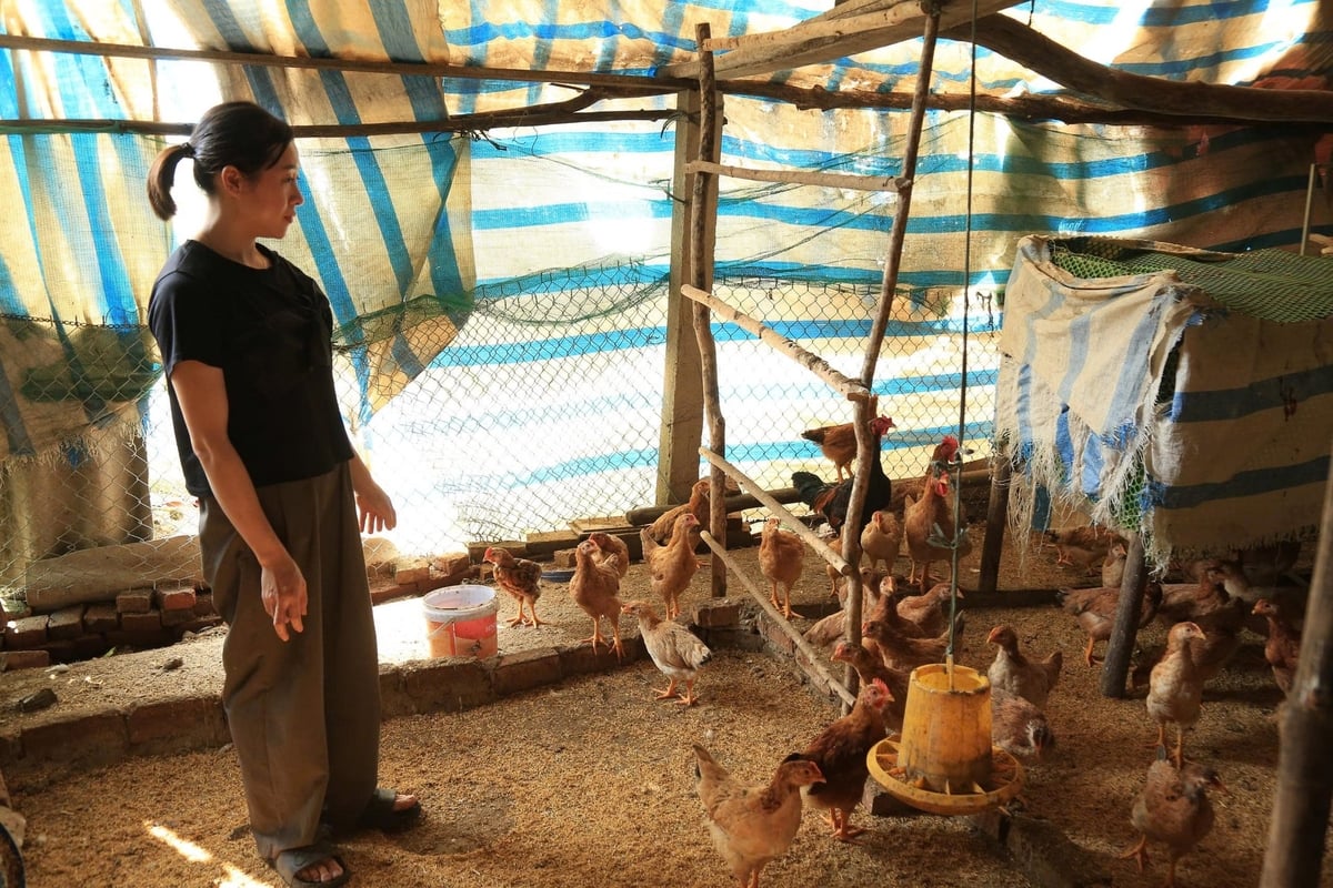 Ngoài trao giống, thức ăn, các hộ dân còn được tập huấn kỹ thuật chăn nuôi. Ảnh: Thanh Tiến.