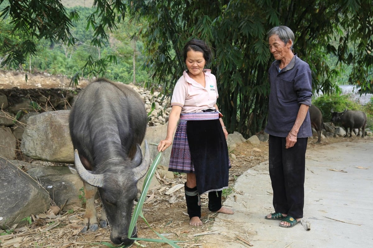 Xã Phong Dụ Thượng đã xây dựng kế hoạch hỗ trợ thêm ngựa giống để đa dạng sinh kế cho bà con. Ảnh: Thanh Tiến.