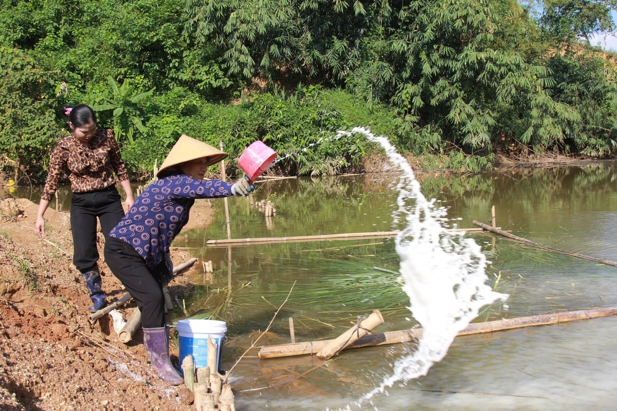 Người dân khử khuẩn ao nuôi sau thiên tai. Ảnh: Thanh Tiến.