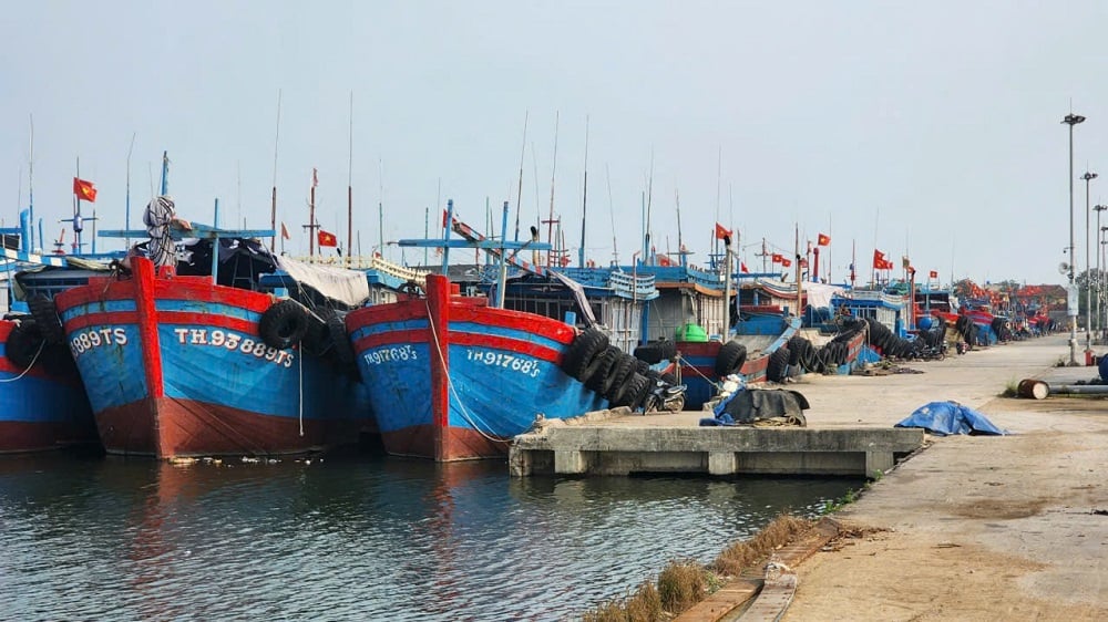 BQL cảng cá tăng cường hướng dẫn chủ tàu, thuyền trưởng ghi chép nhật ký khai thác, nâng cao tính minh bạch và truy xuất nguồn gốc thủy sản. Ảnh: Thu Thủy.