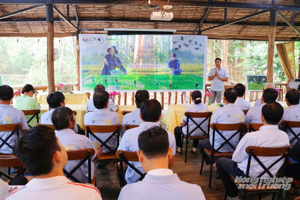 Ngày hội 'Gieo mầm sinh thái' năm 2025 gắn với xuống giống vụ lúa đông xuân 2025 - 2026 tại Đồng Tháp. Ảnh: Lê Hoàng Vũ.