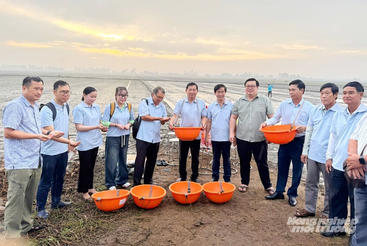 Đại biểu và nông dân chuẩn bị gieo sạ tại cánh đồng ô bao số 52, ấp Cà Dâm, xã Tràm Chim. Ảnh: Lê Hoàng Vũ.