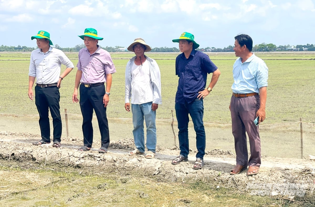 Cán bộ khuyến nông kiểm tra, theo dõi mô hình sản xuất nông nghiệp tại cơ sở. Ảnh: Lê Hoàng Vũ.