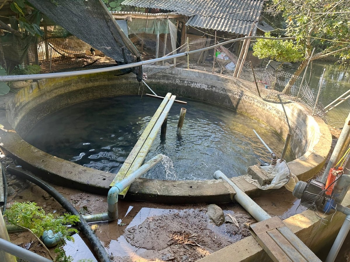 Nuôi cá nước ngọt đang là sinh kế mới giúp người dân xã Phúc Khánh thoát nghèo. Ảnh: Bích Hợp.