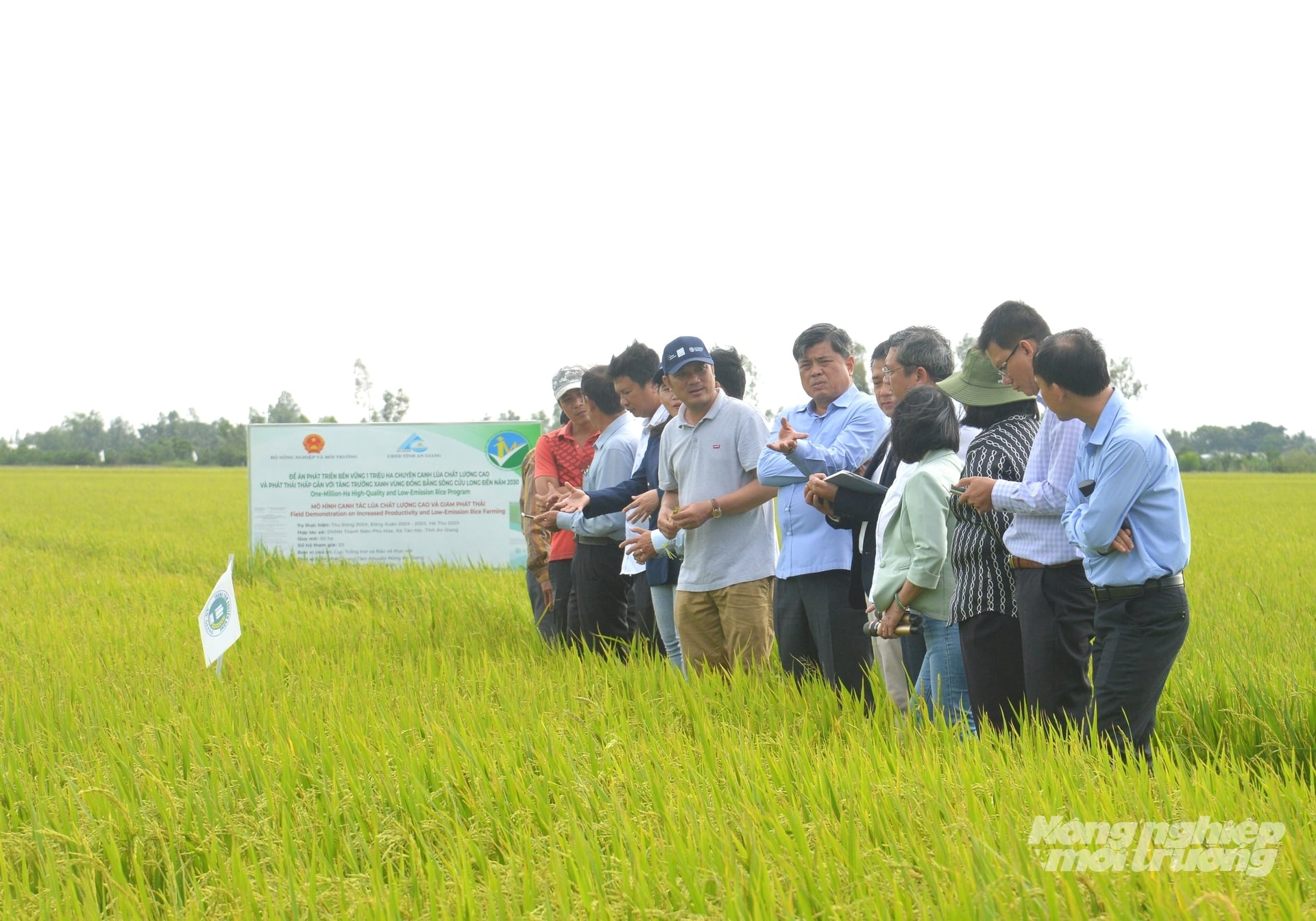 Từ năm 2022 - 2025, Trung tâm Khuyến nông An Giang đã triển khai 73 cánh đồng lớn. Ảnh: Trung Chánh.