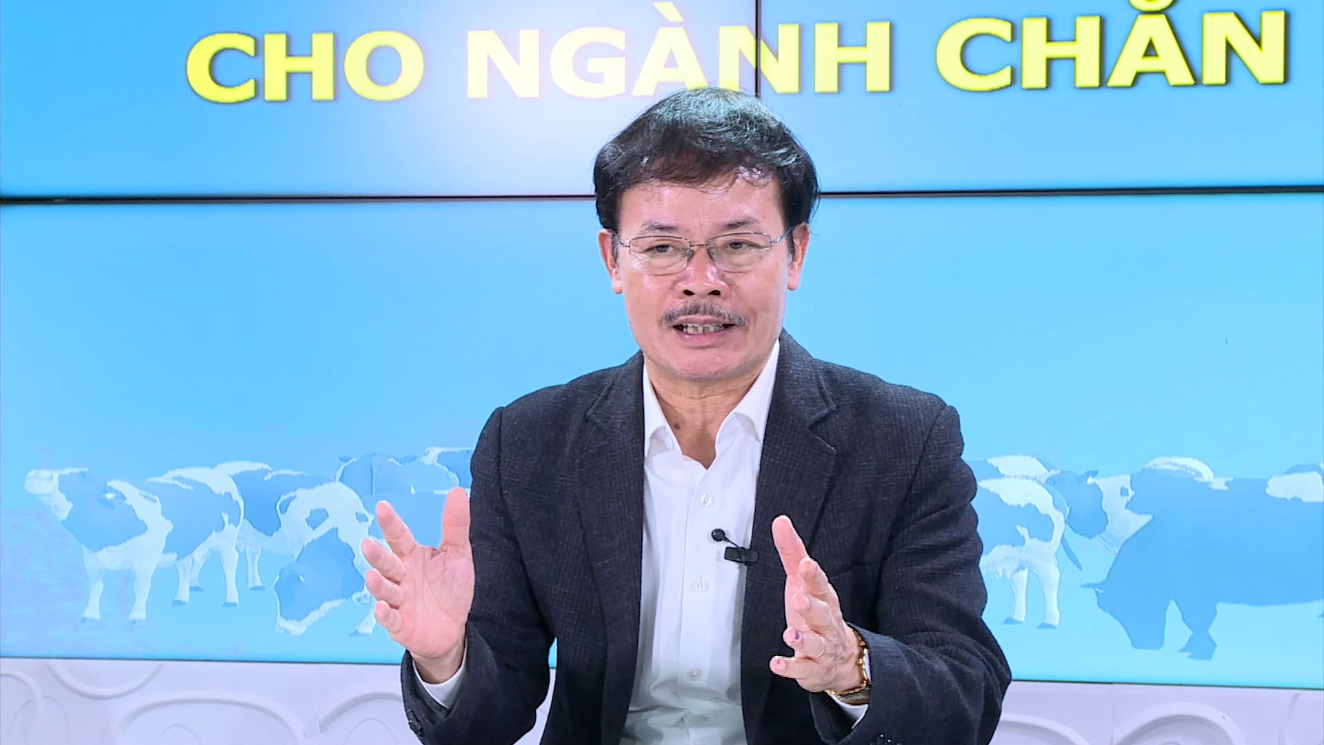 Ông Nguyễn Xuân Dương, Chủ tịch Hội Chăn nuôi Việt Nam cho biết, sau giai đoạn tăng trưởng mạnh, hiện nay tổng đàn bò sữa của cả nước chỉ còn tăng khoảng 0,4%/năm. Ảnh: Duy Học.