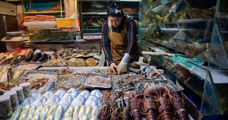 Đích đến của cuộc đua 'bể thở oxy' là những gian hàng hải sản tấp nập tại các chợ đầu mối lớn như Nam Ninh, Côn Minh (Trung Quốc), nơi tỷ lệ sống của sản phẩm quyết định sự thành bại của thương vụ. Ảnh: Scrollin. Đích đến của cuộc đua 'bể thở oxy' là những gian hàng hải sản tấp nập tại các chợ đầu mối lớn như Nam Ninh, Côn Minh (Trung Quốc), nơi tỷ lệ sống của sản phẩm quyết định sự thành bại của thương vụ. Ảnh: Scrollin.