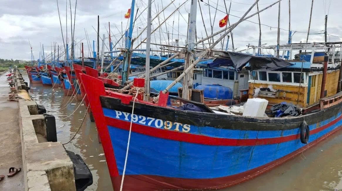 Hiện nay, toàn tỉnh có 2.565 tàu cá, 100% đã được cập nhật lên Hệ thống cơ sở dữ liệu nghề cá quốc gia (VnFishbase).