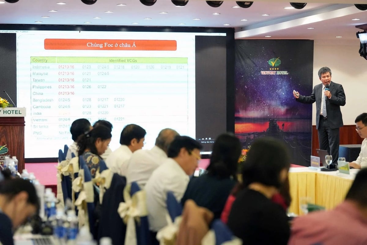 TS Trần Ngọc Hùng, Bộ môn Công nghệ sinh học, Viện Nghiên cứu Rau quả chia sẻ tại Diễn đàn 'Giải pháp phòng trừ bệnh héo vàng hại chuối' diễn ra ngày 13/12 . Ảnh: Phúc Lập.