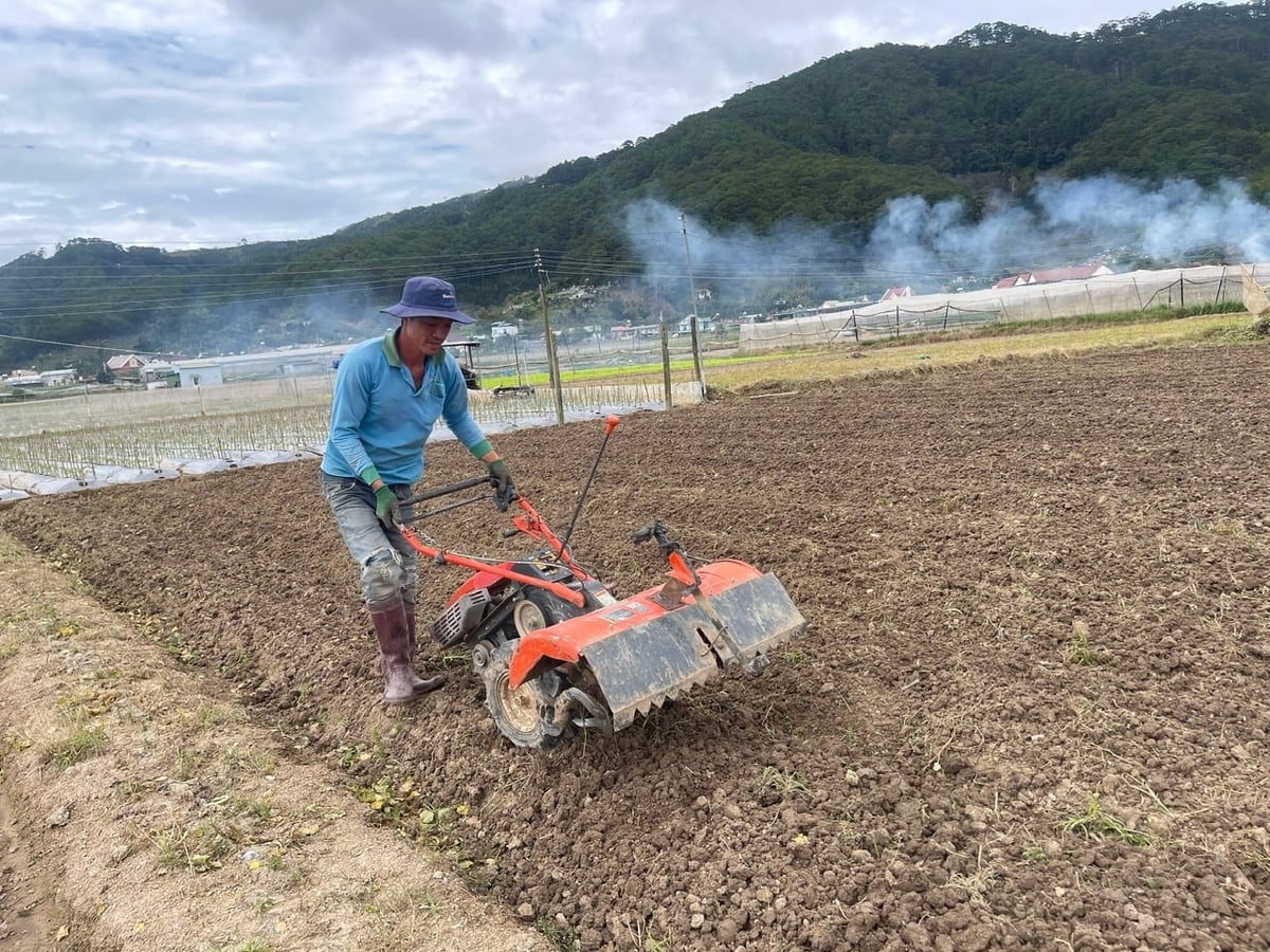 Những cánh đồng ở tỉnh Lâm Đồng đang hối hả trở lại. Ảnh: Phạm Hoài.