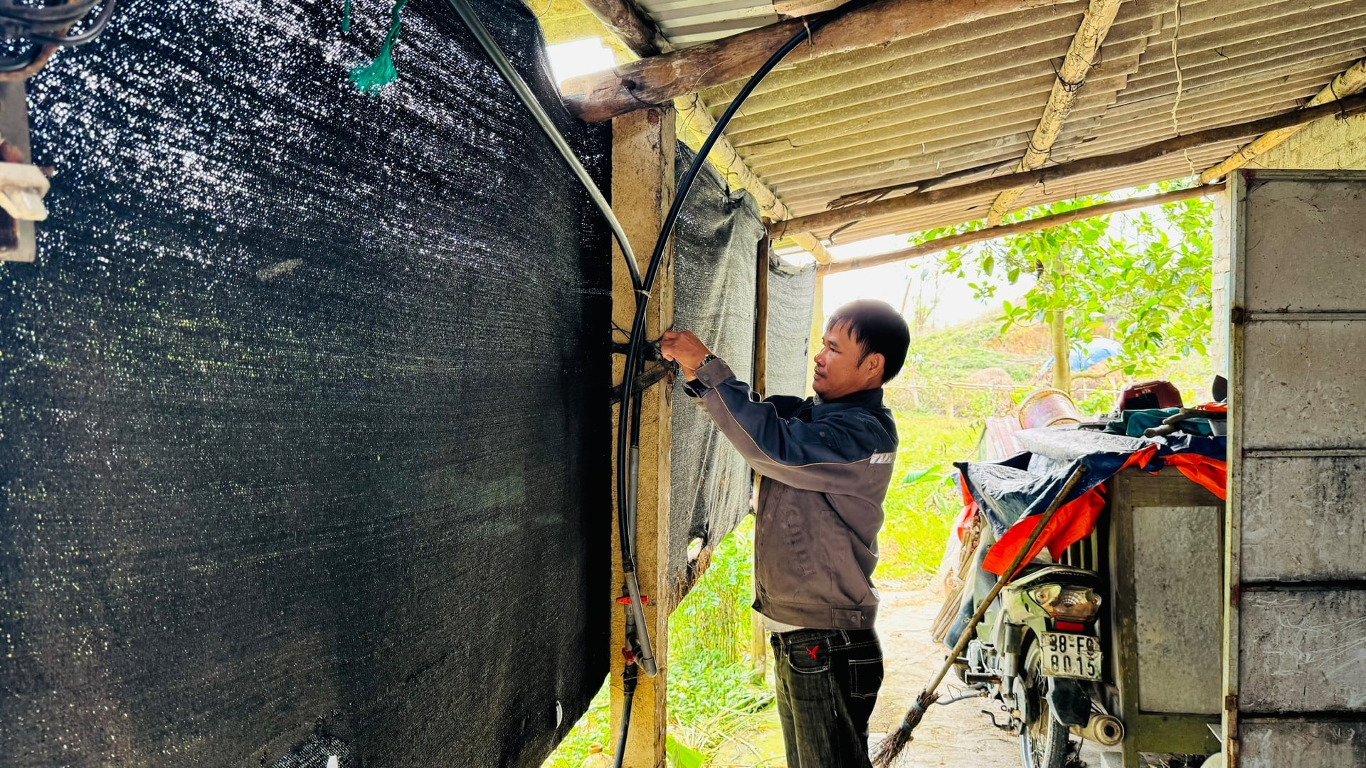 Người chăn nuôi che kín chuồng để chống rét cho gia súc, gia cầm.  Ảnh: Ánh Nguyệt.