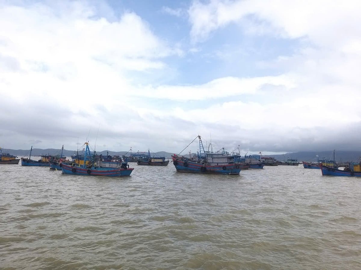 100% tàu cá đang hoạt động trên địa bàn được kiểm soát chặt chẽ. Ảnh: Trần Thọ.