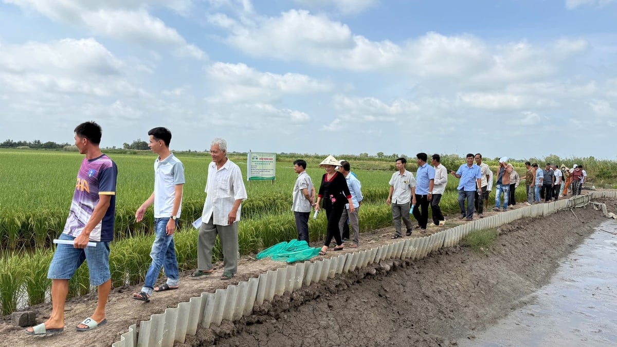 Nông dân tham quan mô hình. Ảnh: Thúy Lam.