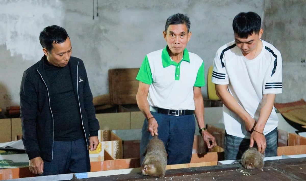 Bên cạnh lĩnh vực địa chính, xây dựng, môi trường, anh Nguyễn Văn Là (ngoài cùng bên trái) quán xuyến luôn cả công tác giám sát, quản lý dịch bệnh chăn nuôi, thú y. Ảnh: Việt Khánh. Bên cạnh lĩnh vực địa chính, xây dựng, môi trường, anh Nguyễn Văn Là (ngoài cùng bên trái) quán xuyến luôn cả công tác giám sát, quản lý dịch bệnh chăn nuôi, thú y. Ảnh: Việt Khánh.