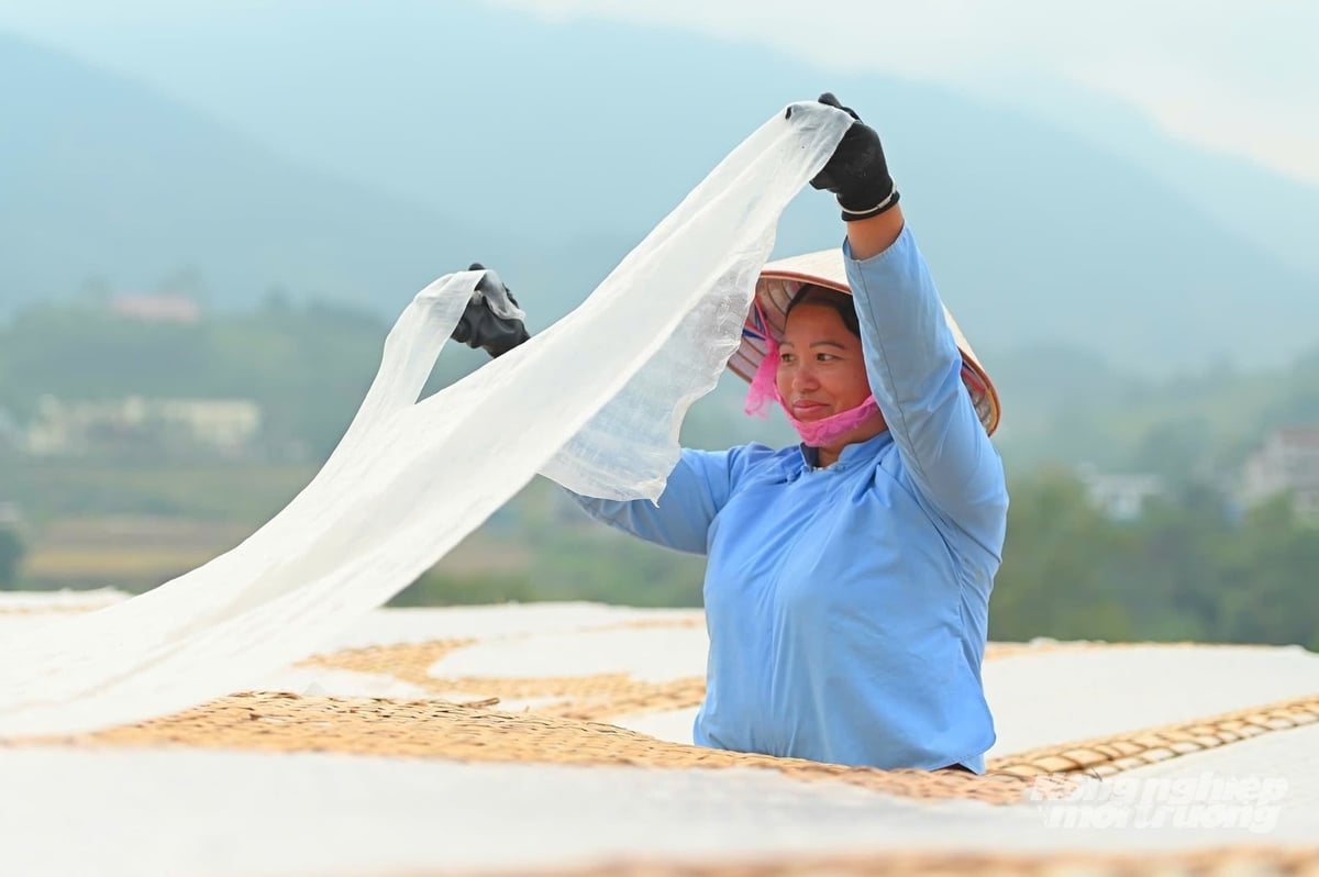 Phơi bánh miến dưới ánh nắng mặt trời. Ảnh: Cường Vũ. Phơi bánh miến dưới ánh nắng mặt trời. Ảnh: Cường Vũ.