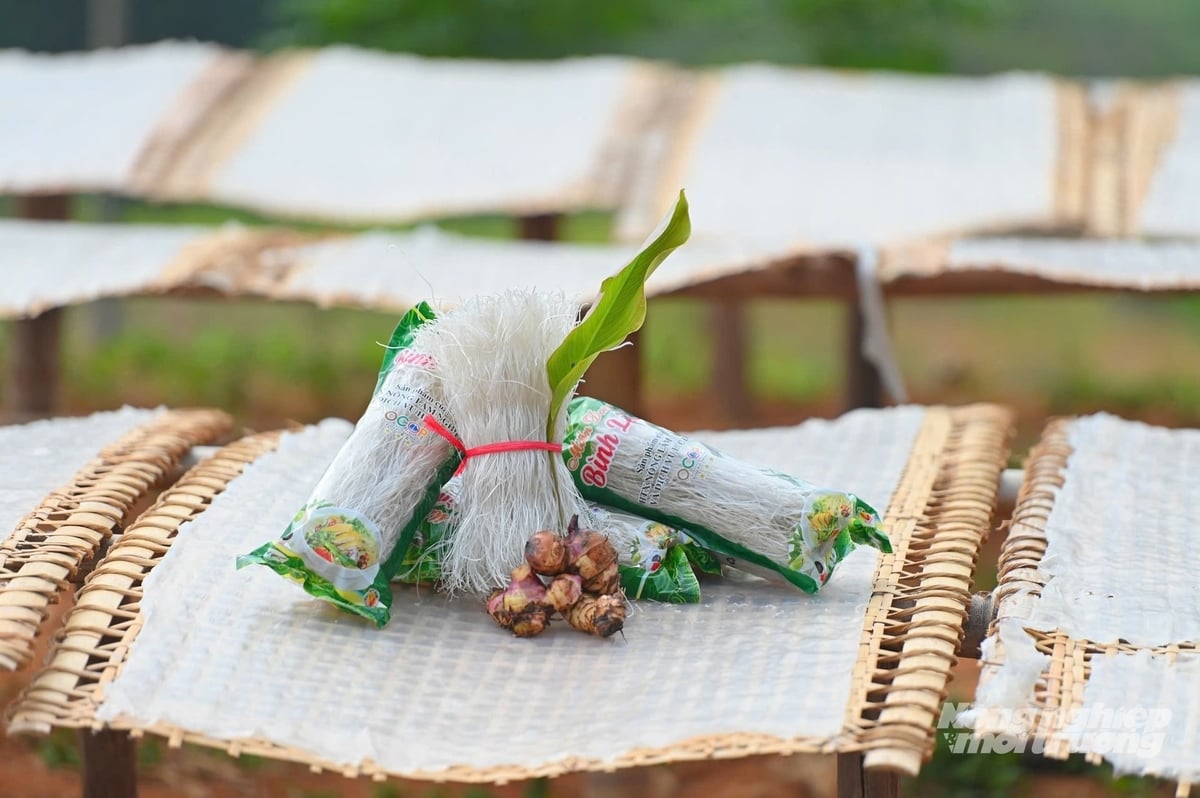 Sản phẩm miến dong Bình Liêu. Ảnh: Cường Vũ. Sản phẩm miến dong Bình Liêu. Ảnh: Cường Vũ.