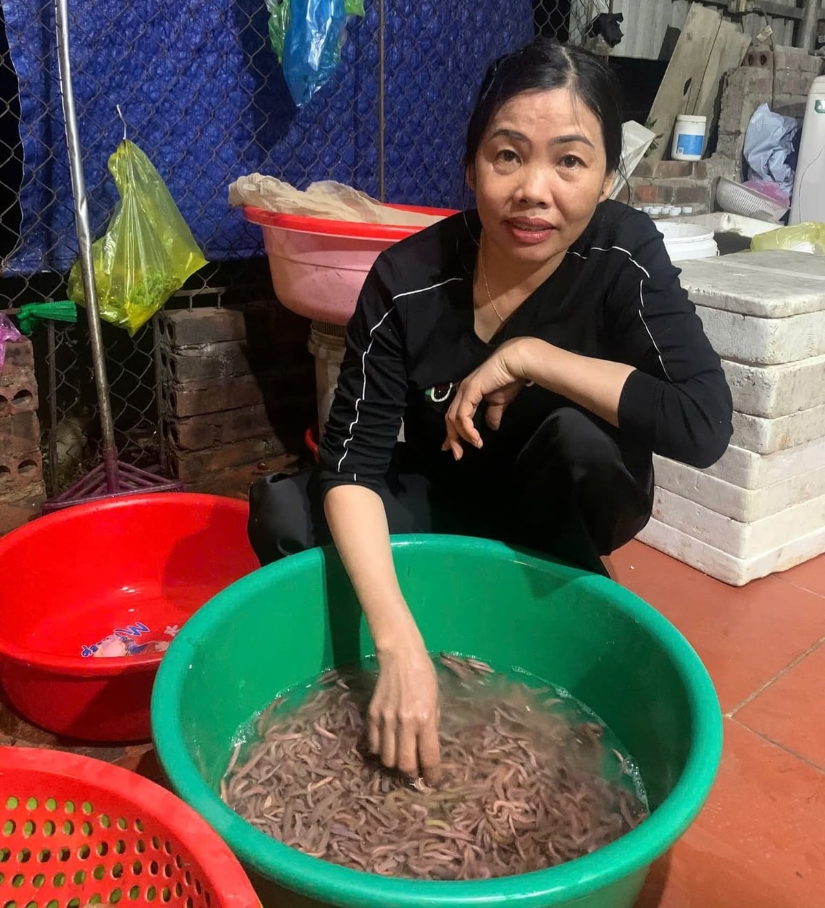 Bà Nguyễn Thị Châu ở khu Vân Quế mỗi năm thu hơn 150 triệu đồng từ nuôi rươi. Ảnh: Hồng Ngát. 