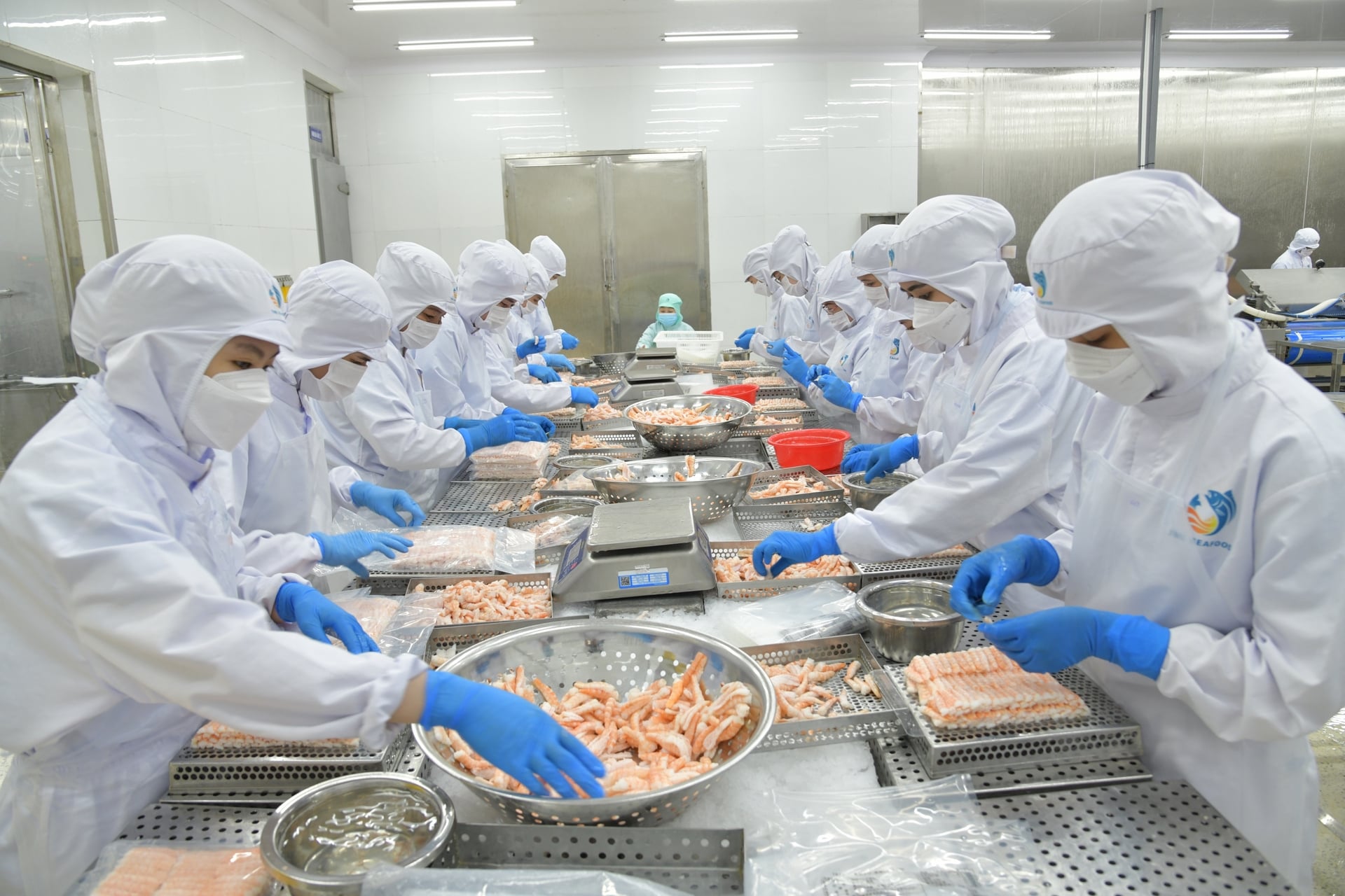 Xuất khẩu thủy sản Việt Nam 11 tháng đầu năm đạt hơn 10,5 tỷ USD, tăng 14,6% so với cùng kỳ. Ảnh: Hồng Thắm.