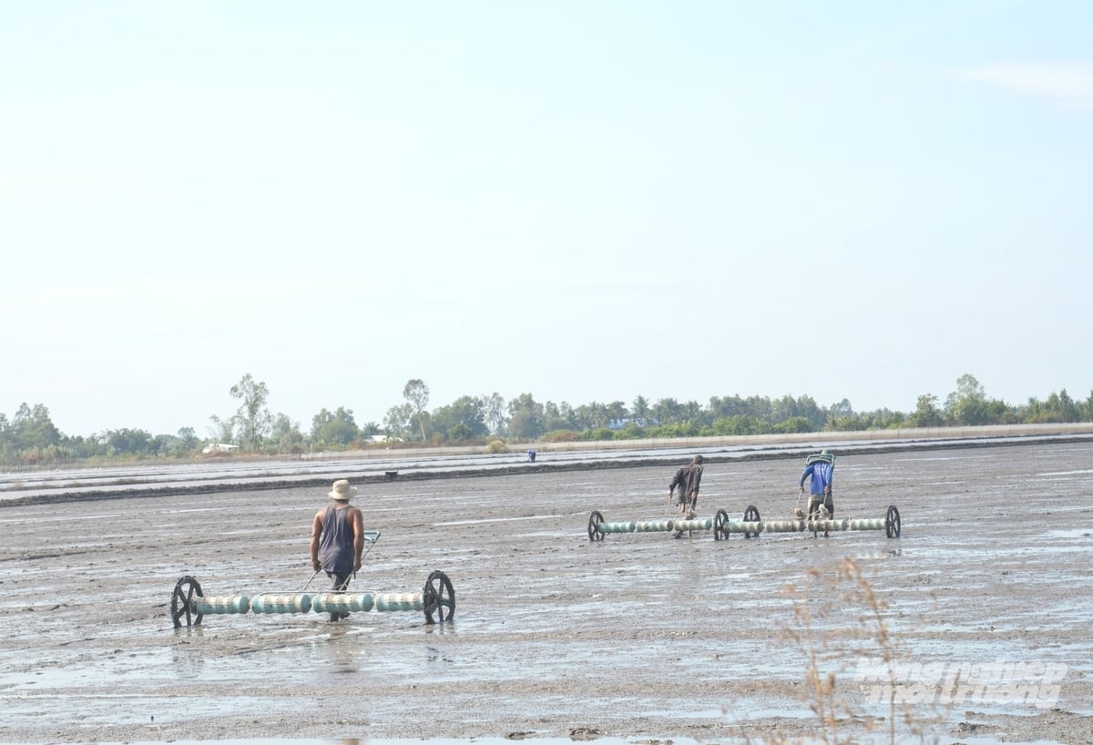 Cánh đồng tham gia Đề án 1 triệu ha lúa chất lượng cao áp dụng đồng bộ các giải pháp kỹ thuật. Ảnh: Trung Chánh.