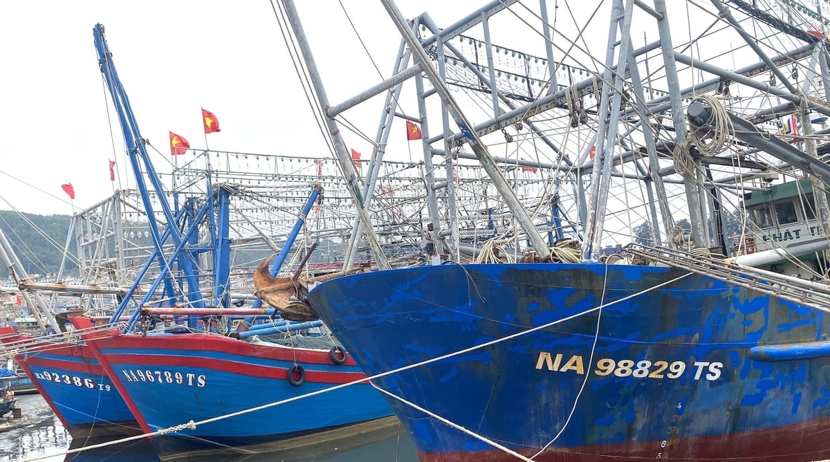 Tàu cá của Nghệ An thực hiện nghiêm túc theo quy định đặt ra. Ảnh: Việt Khánh. 