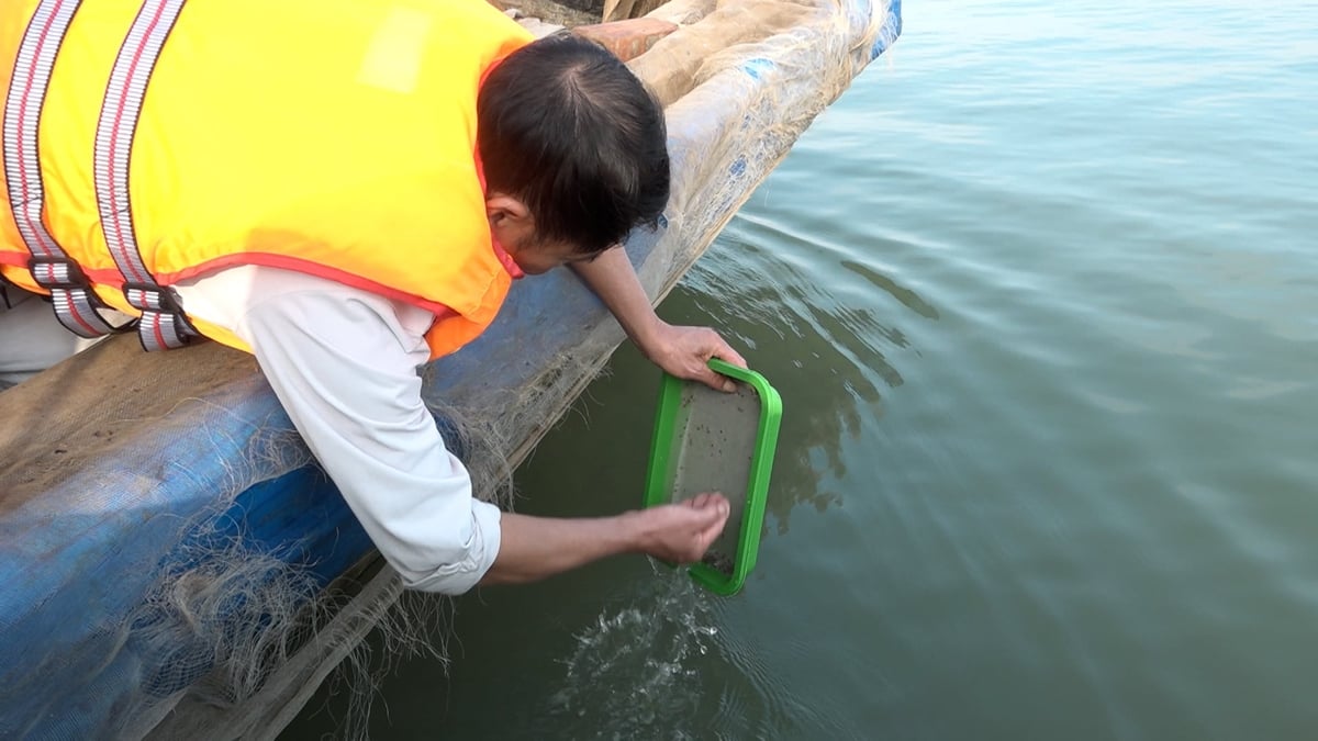 Đây là hoạt động nằm trong chuỗi chương trình tái tạo nguồn lợi thủy sản được địa phương duy trì liên tục suốt 3 năm qua. Ảnh: Trung Tuyến.