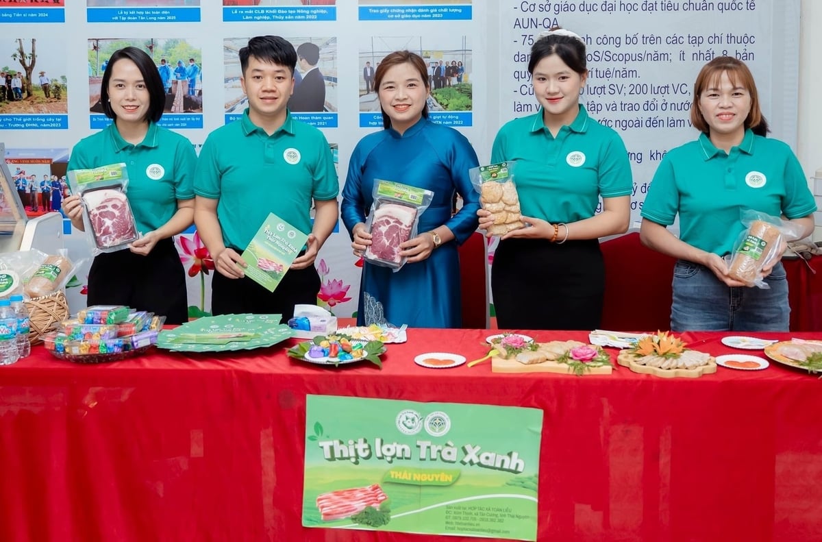 Hợp tác xã Toàn Liễu giới thiệu sản phẩm từ thịt lợn trà xanh. Ảnh: Quang Linh.