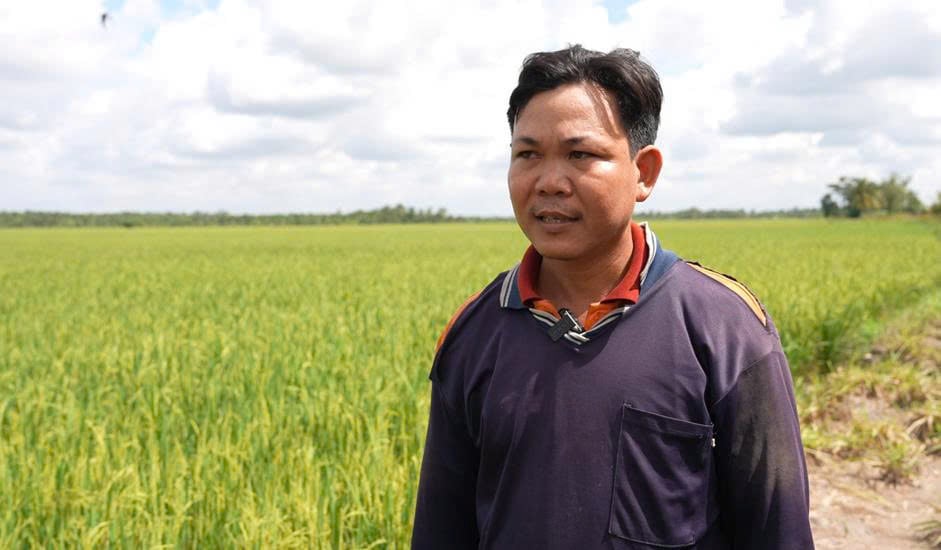 Ông Trần Văn Phong, Trưởng ấp An Thạnh, xã An Trường nhấn mạnh hiệu quả sử dụng chế phẩm vi sinh xử lý rơm rạ. Ảnh: SOS môi trường.