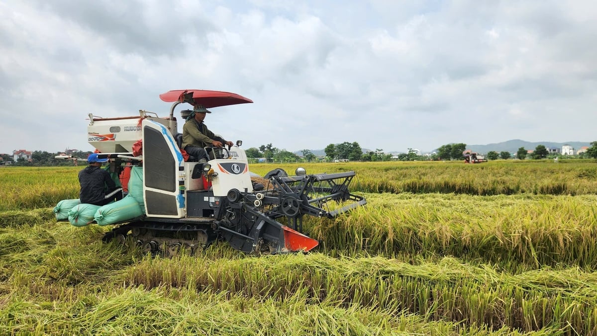 Quảng Ninh hướng đến nền nông nghiệp hiện đại, bền vững. Ảnh: Nguyễn Thành.