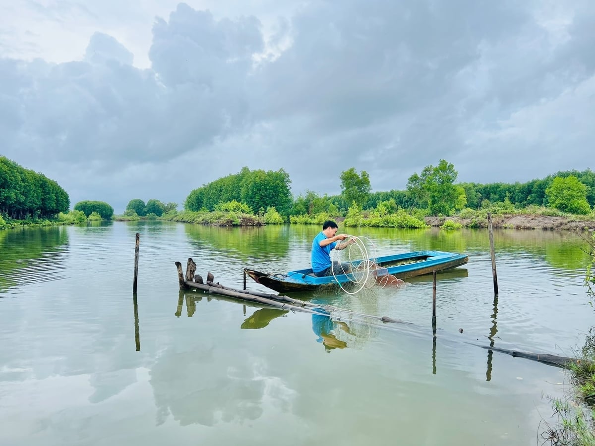 Tỉnh Cà Mau hình thành 2 vùng nuôi tôm thích ứng biến đổi khí hậu. Ảnh: Trọng Linh.