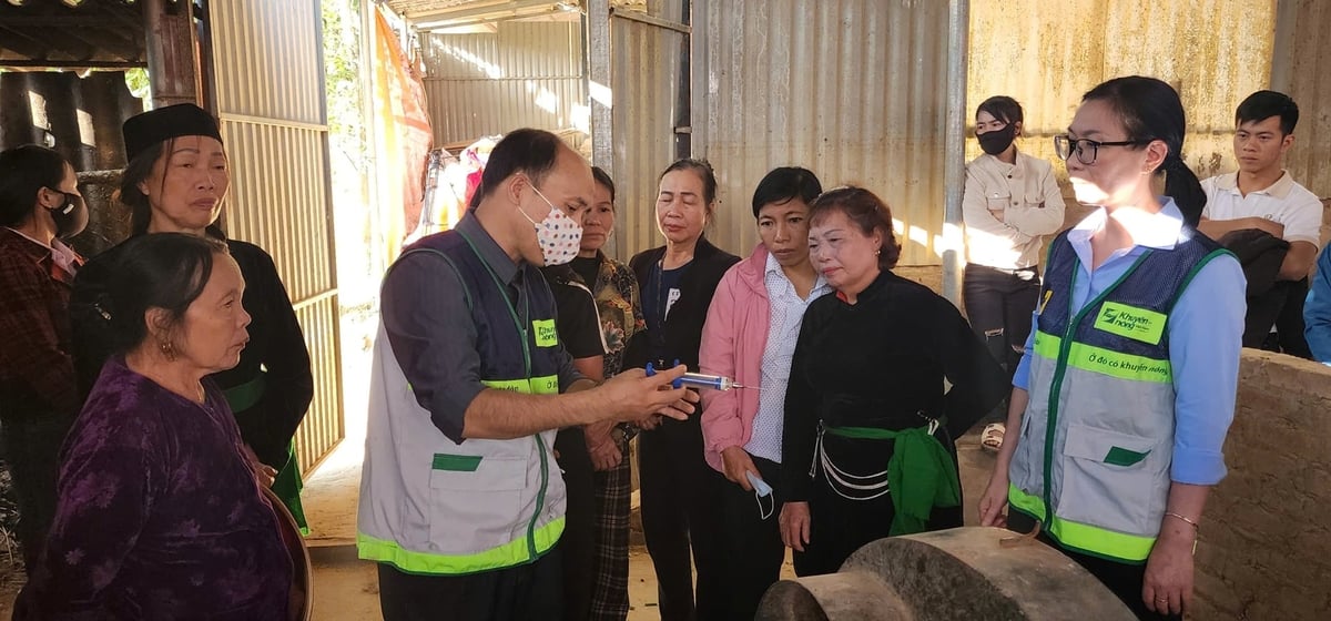Trung tâm Khuyến nông Quốc gia phối hợp với Sở Nông nghiệp và Môi trường tỉnh Lào Cai hướng dẫn tiêm phòng vaccine cho đàn gia súc. Ảnh: Thanh Ngà.