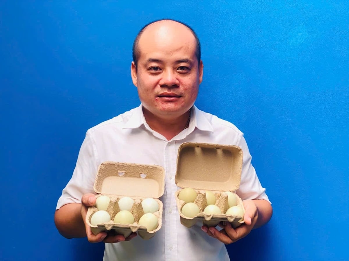 Mô hình nuôi gà Araucana đẻ trứng của anh Đặng Thanh Việt đang mang lại hiệu quả kinh tế khả quan. Ảnh: Lê Hoàng Vũ.