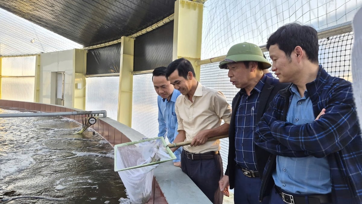 Mô hình nuôi tôm công nghệ cao tại xã Hải Hòa, tỉnh Quảng Ninh. Ảnh: Nguyễn Thành. 