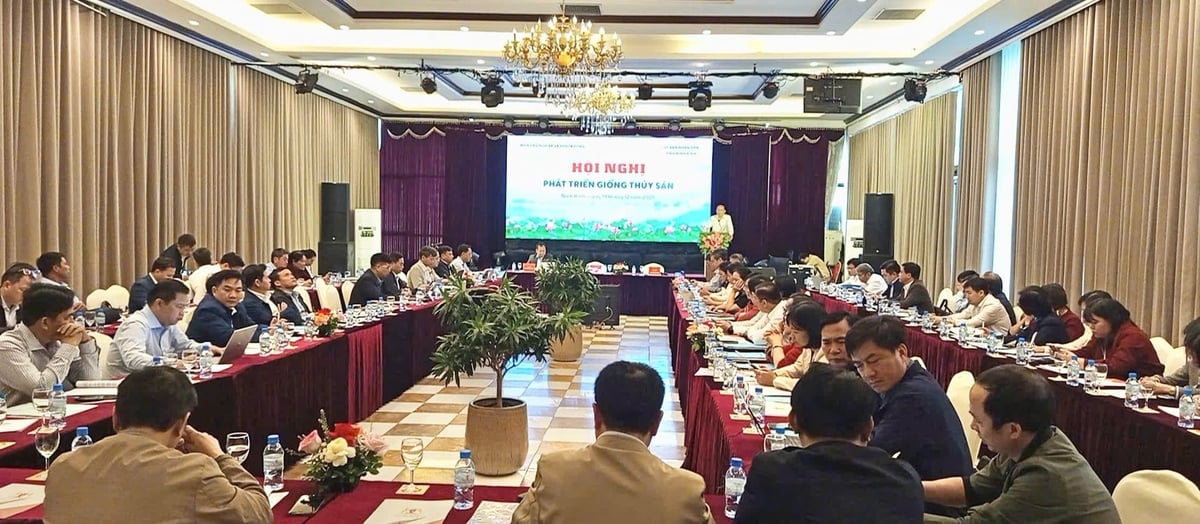 Hà Nội tập trung phát triển các loài thủy sản nước ngọt truyền thống như cá trắm cỏ, cá chép, cá rô phi, với sản lượng giống năm 2025 ước đạt hơn 1,45 tỷ con. Ảnh: HN.