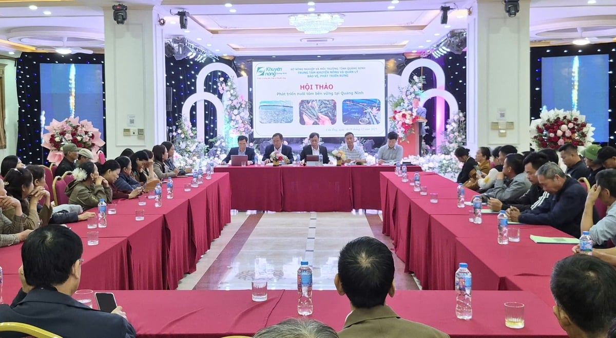 Hội thảo 'Phát triển nuôi tôm bền vững tại Quảng Ninh' với sự tham dự của 100 đại biểu. Ảnh: Nguyễn Thành.