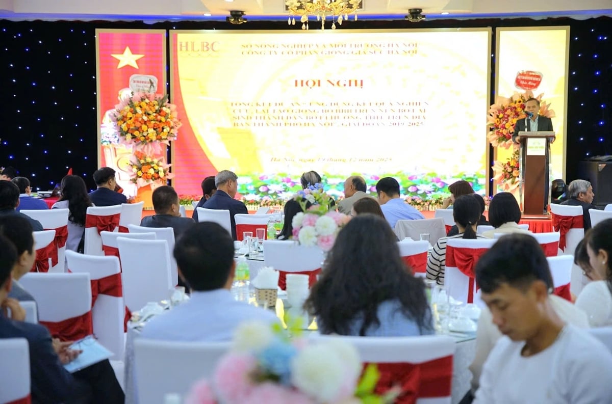 Hội nghị tổng kết Dự án 'Ứng dụng kết quả nghiên cứu, lai tạo giống bò BBB trên nền bò lai Sind thành đàn bò F1 hướng thịt trên địa bàn thành phố Hà Nội' sáng 19/12. Ảnh: Linh Linh.