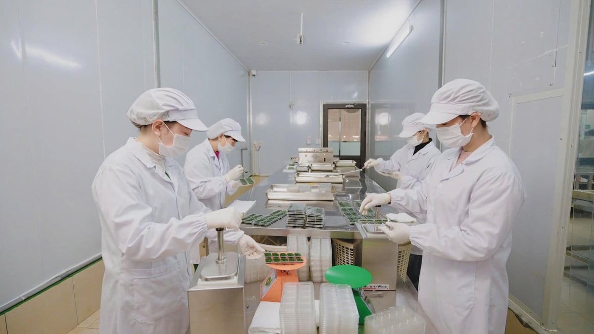 Khu vực sơ chế, đóng gói tảo xoắn bảo đảm quy trình sản xuất an toàn. Ảnh: Nhật Tiến.