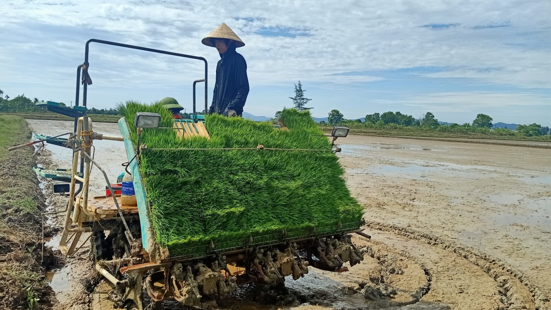 Nông dân Hà Tĩnh áp dụng kỹ thuật mạ khay – máy cấy trong sản xuất lúa giảm phát thải, góp phần giảm công lao động và chi phí sản xuất. Ảnh: Ánh Nguyệt.