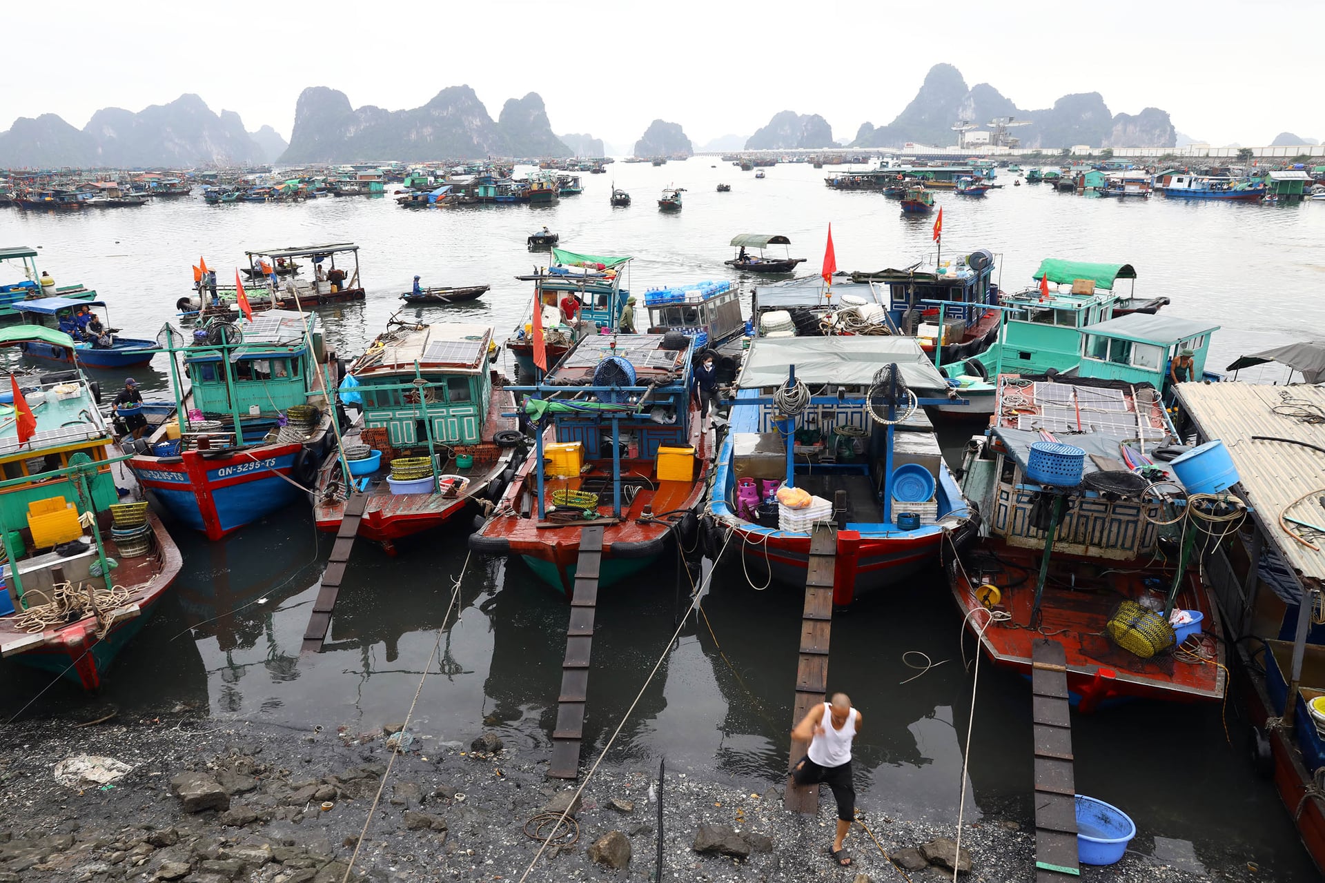 Gỡ 'thẻ vàng' IUU là mục tiêu trước mắt, nhưng đích đến lâu dài là nghề cá bền vững, hiện đại và có trách nhiệm. Ảnh: Hồng Thắm.