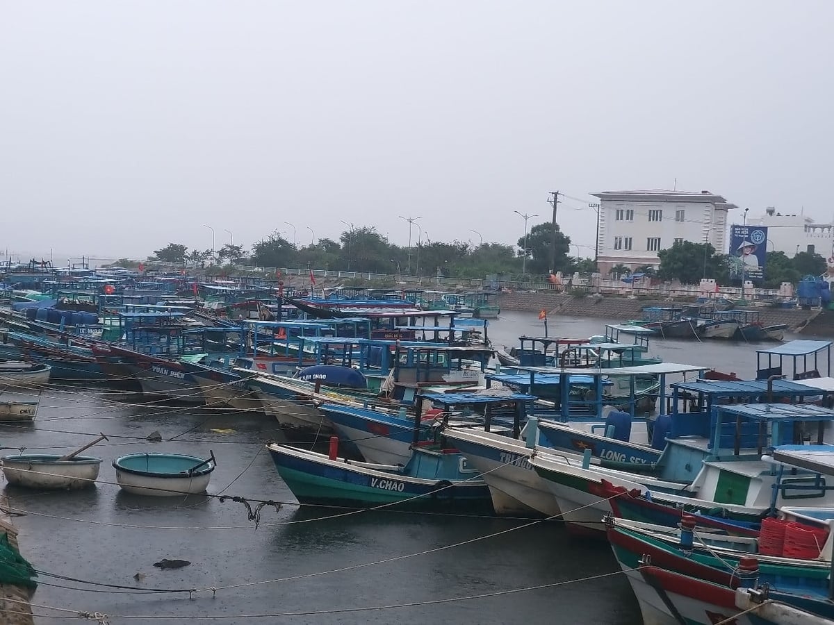 Tính đến nay, toàn tỉnh có 2.556 tàu cá, với sản lượng khai thác biển hằng năm khoảng 68.000 tấn. Ảnh: Trần Thọ.