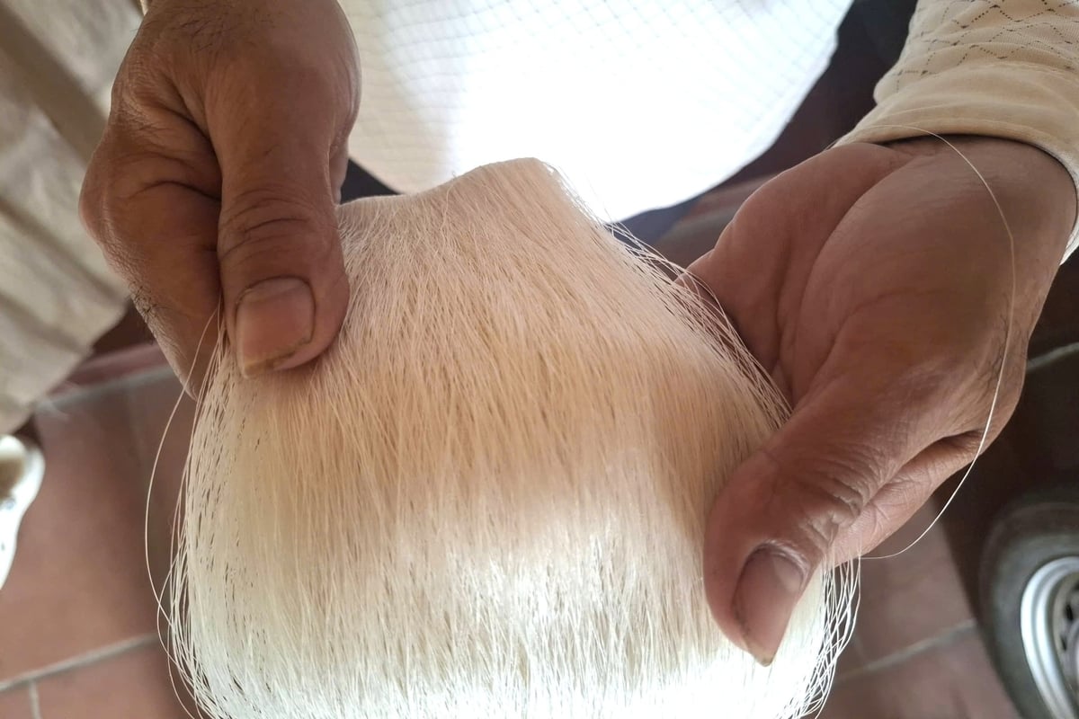 Tơ Hồng Đô có chất rất riêng nên được khách hàng cả trong và ngoài nước ưa chuộng. Ảnh: Trung Quân.