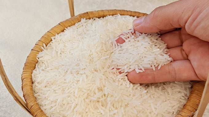 Cập nhật giá lúa gạo hôm nay 23/1/2026 mới nhất Cập nhật giá lúa gạo hôm nay 23/1/2026 mới nhất